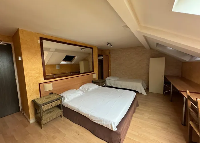 Hôtel accueillant les animaux: Hôtel Bosquet Pau Centre