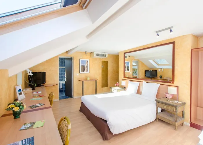 Hôtel accueillant les animaux: Hôtel Bosquet Pau Centre